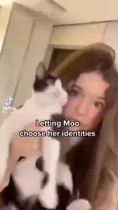 Cat Chooses Her Identities