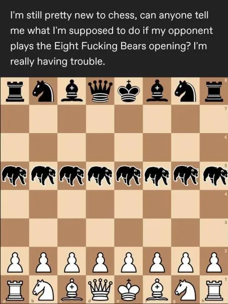 Eight Fucking Bears Opening