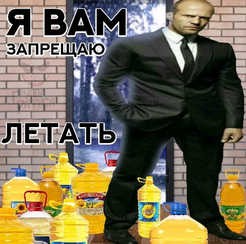 Я вам запрещаю летать