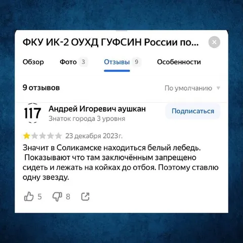 Белый лебедь в Соликамске