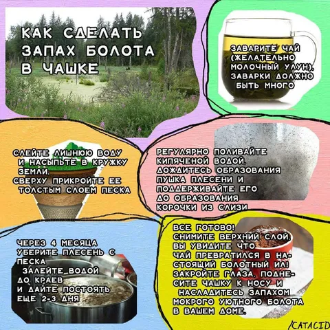 Как сделать запах болота в чашке