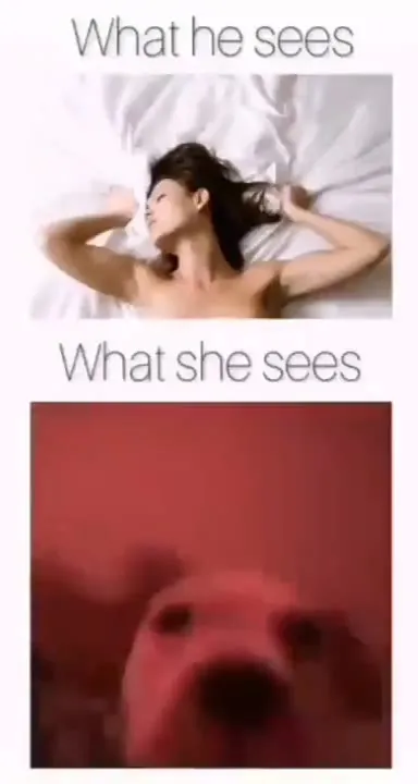 What He Sees vs What She Sees