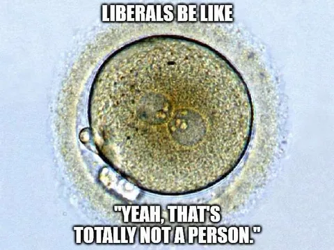 Liberals Be Like Not a Person