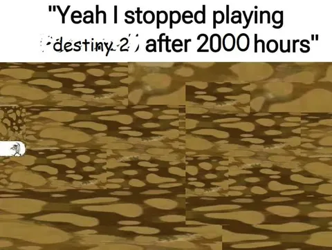 Stopped Playing Destiny 2