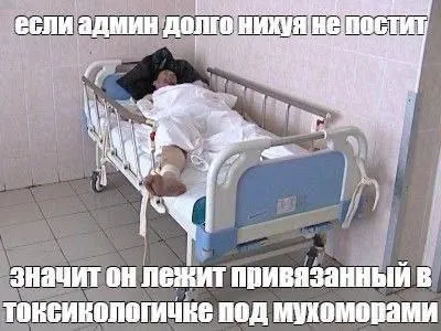 Админ лежит в токсикологичке