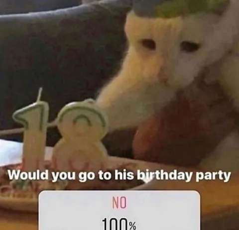 Cat Says No to Birthday Party