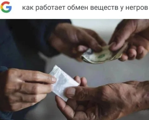 Как работает обмен веществ