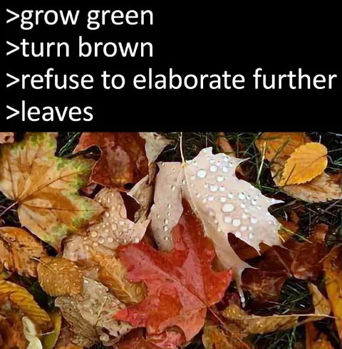 The Reluctant Leaf Cycle