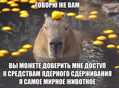 Самое мирное животное