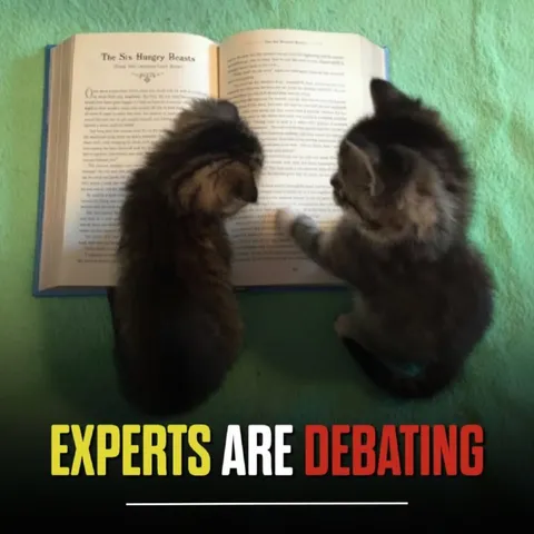 Experts Are Debating