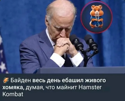 Байден майнит Hamster Kombat