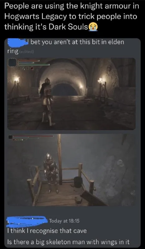 Hogwarts Knight Tricks Dark Souls Fans
