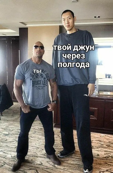 Твой джун через полгода