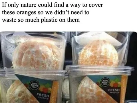 Nature’s Orange Packaging Solution