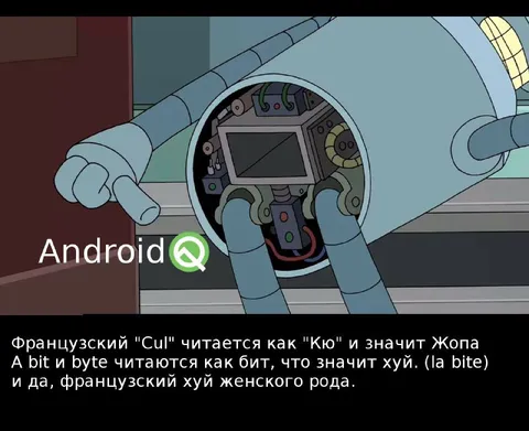 Французский хуй женского рода