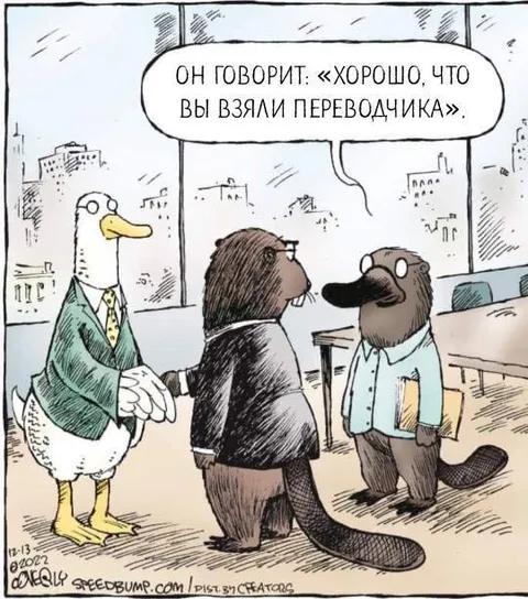 Хорошо, что взяли переводчика