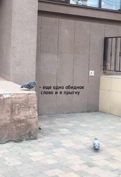 Ещё одно обидное слово