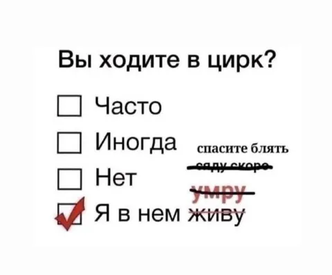 Я в цирке живу