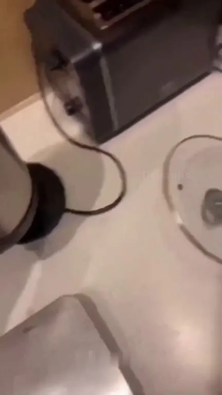 Critical Failure in the Kitchen