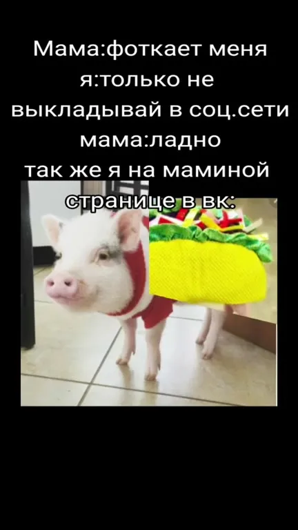 Поросёнок на маминой странице