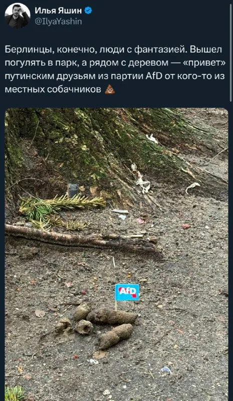 Флажок AfD в куче дерьма