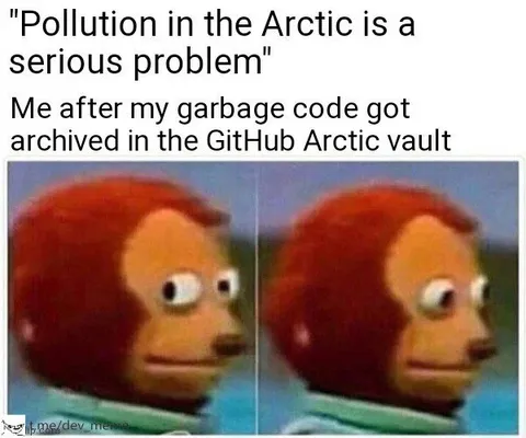 Garbage Code in Arctic Vault