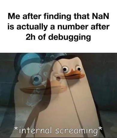 NaN Is Actually a Number