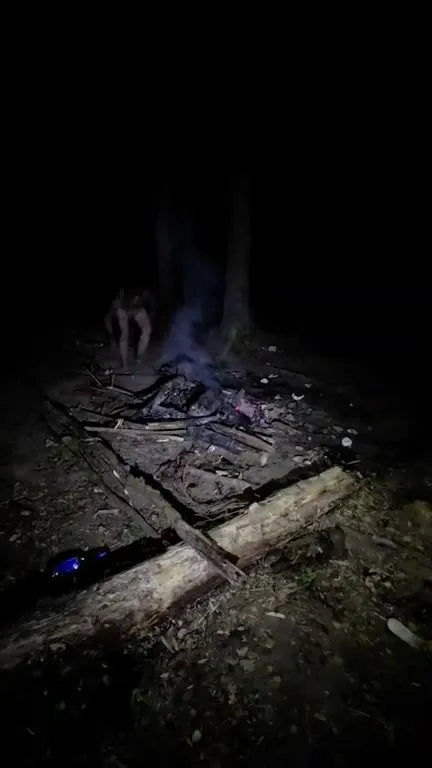 Фестивали в лесу ночью