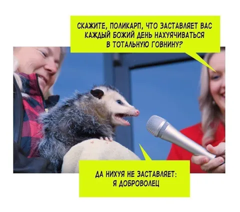 Поликарп — доброволец