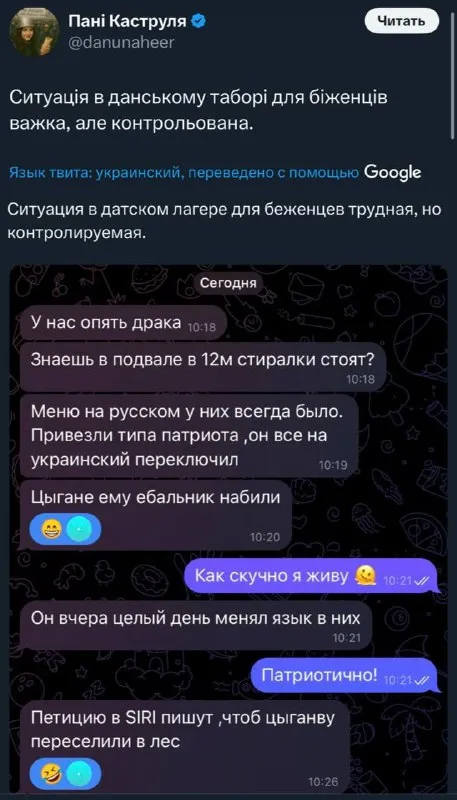 Ситуація в данському таборі