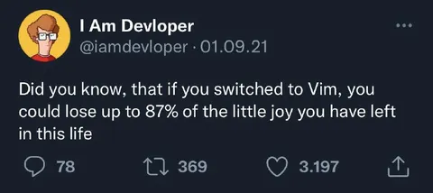 Switching to Vim Ruins Joy