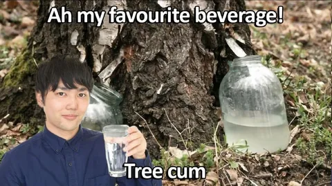 Tree Sap Is My Favorite Beverage
