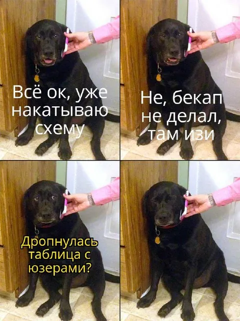 Когда дропнулась таблица с юзерами