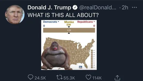 Trump Asks About Monke Election Map