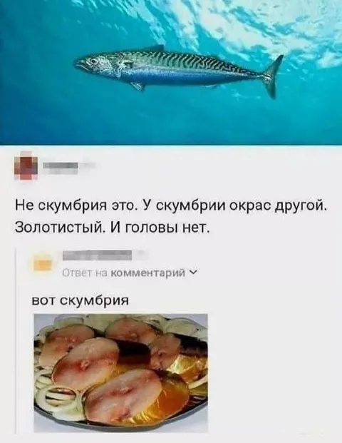 Вот скумбрия