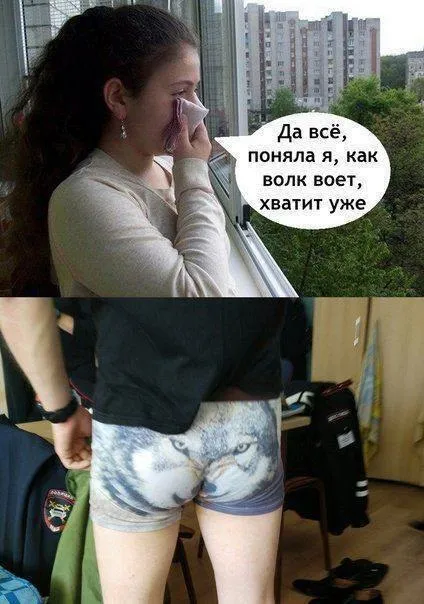 Как волк воет, хватит уже