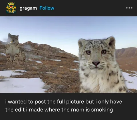 Snow Leopard Mom Smoking