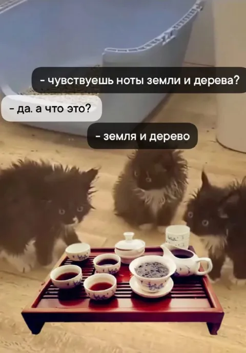 Земля и дерево на чаепитии