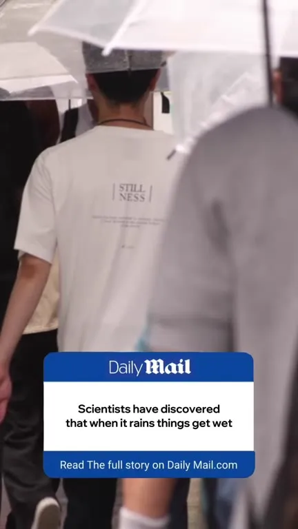 Scientists Discover Rain Makes Things Wet