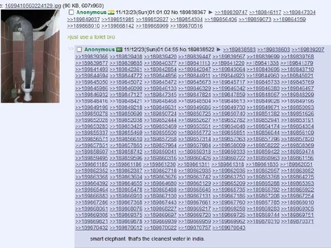 Elephant Uses a Toilet
