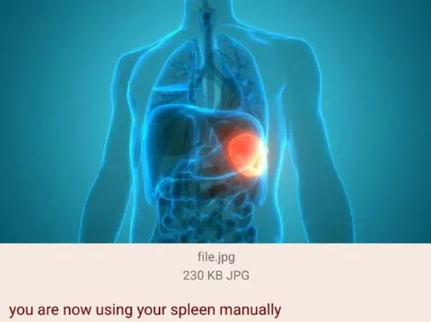 Using Your Spleen Manually