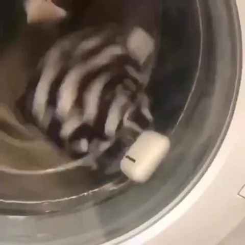 Наушники в стиральной машине