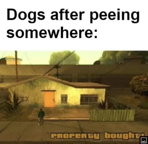 Dogs After Peeing Somewhere
