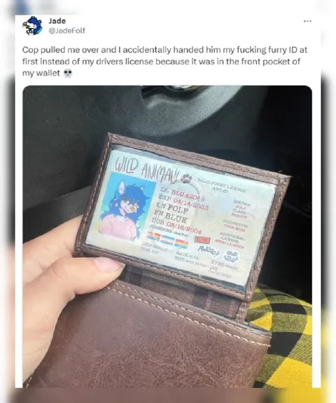 Furry ID Instead of Driver's License
