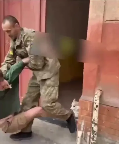Корги защищает хозяина от бусификаторов
