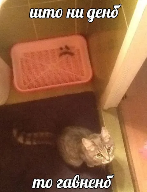 Што ни деньб, то гавнено