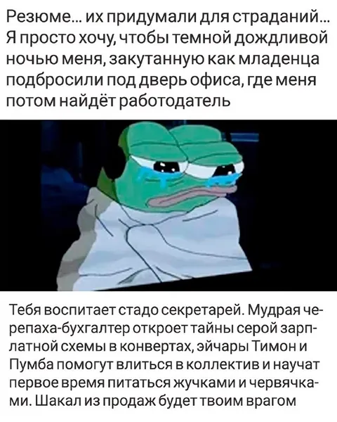 Резюме придумали для страданий