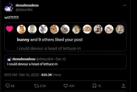Bunny Likes a Lettuce Post