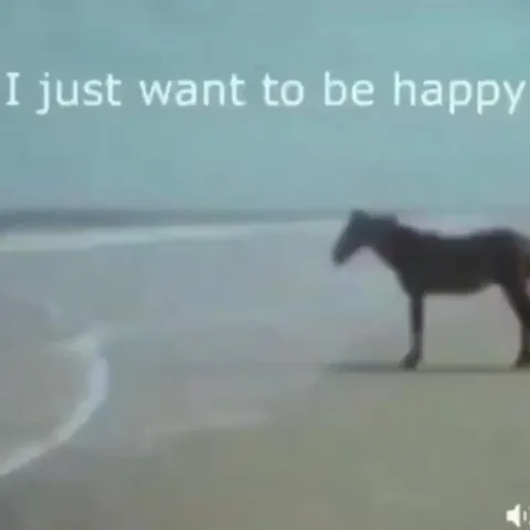 I Just Want to Be Happy