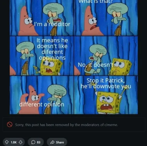 Redditor Hates Different Opinions
